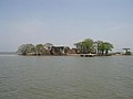 La rivière Gambie