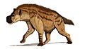 Dinocrocuta (que significa hiena terrível), um carnívoro