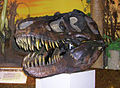 Dinosaur diorama exhibit