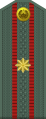 Mayor (Uzbek Ground Forces)[95]