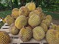Thumbnail for Durian