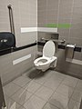 Цей громадський туалет з адаптованим дизайном. Висота нижча, ніж зазвичай, для людей з обмеженими можливостями, котрі можуть легко пересісти з інвалідного візка, опираючись на поручні, щоб утримуватися.