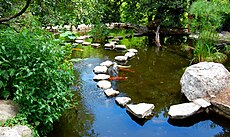 Isamu Taniguchi Japanese Garden Koi Pond