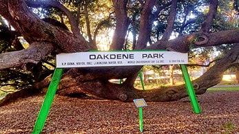 Oakdene Park entrance sign with tree in background