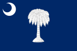Zastava Južne Karoline (28. januar 1861 – 28. septembar 1861)