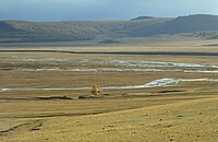 Mongolian-Manchurian grassland, a temperate grassland