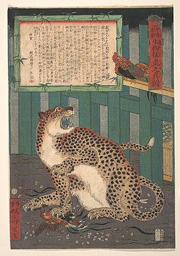Never Seen Before: True Picture of a Live Wild Tiger, by Kawanabe Kyōsai, 1860