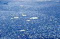 Aerial view showing an expanse of drift ice consisting mostly of water. (Scale not available.)