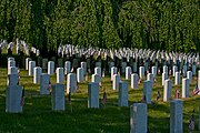 Cypress Hills National Cemetery.