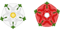 White Rose of York and Red Rose of Lancaster