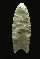 A Clovis blade with medium to large lanceolate spear-knifepoints. Side is parallel to convex and exhibit careful pressure flaking along the blade edge. The broadest area is near the midsection or toward the base. The Base is distinctly concave with a characteristic flute or channel flake removed from one or, more commonly, both surfaces of the blade. The lower edges of the blade and base is ground to dull edges for hafting. Clovis points also tend to be thicker than the typically thin latter stage Folsom points. Length: 4–20 cm/1.5–8 in. Width: 2.5–5 cm/1–2