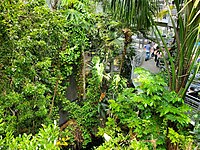 Vườn thực vật nhiệt đới ở California