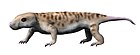 Galesaurus planiceps