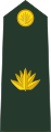 মেজর Mējara (Bangladesh Army)[12]