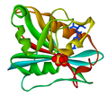 Human dihydrofolate reductase in complex with folate