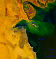 Kuvajtska obala i ušće Šat al-Araba