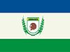 Flag of Sirinhaém