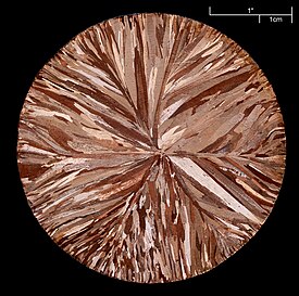 Copper disc