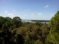 Wall Springs View of St Joseph Sound from the old observation tower