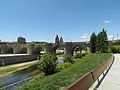 Bridge of Toledo