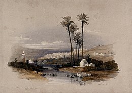 A painting of a town in Palestine during the 19th century nestled among hills and palm trees