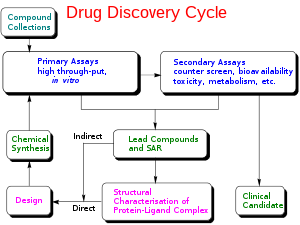 Drug discovery cycle schematic