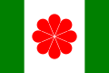 於1996年暫擬的台灣共和國國旗