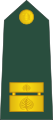 Major (Slovenian Ground Force)[79]