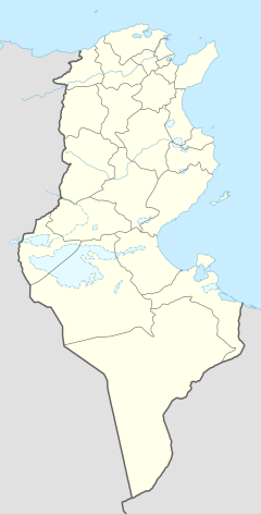凯鲁万在突尼西亞的位置