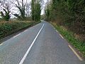 Thumbnail for R666 road (Ireland)