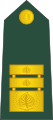 Generalmajor (Slovenian Ground Force)[60]