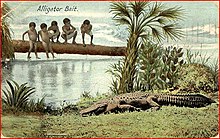 Five young black boys, two naked and three clothed, sit in a tree and gaze down at an alligator. The boys are perched in the tree over water while the alligator is in the foreground of the picture on grassy land. In the top right corner the postcard reads "Alligator Bait."
