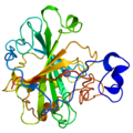 Human carbonic anhydrase II