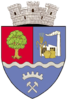 Coat of arms of Ștei