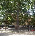 חנוכייה בחצר בית הכנסת הגדול של רומא