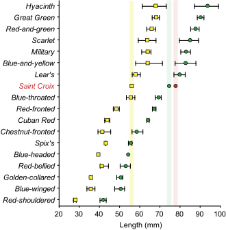 Schemat przedstawiający pomiary kości ary na wykresie