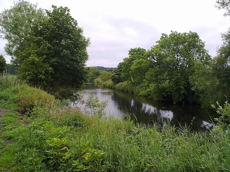 File:View of the river Wear - geograph.org.uk - 3046475.jpg