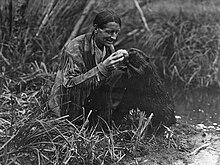 A crouching man in buckskins feeds a roll to a standing beaver.