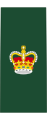 Insignia of a warrant officer