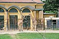 Giraffes at Tiergarten Schönbrunn in Vienna, the former Habsburg menagerie.