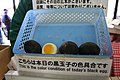 Onsen, œufs noirs à la coque (Miyanoshita onsen).