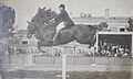 Paul Mirat winning at Royan (1903)