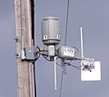 Image 25Neighborhood wireless WAN router on telephone pole (from Radio)