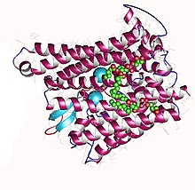 This image depicts the structure of Ferroportin with Hepcidin bound. The original image was modified to exclude the Fragment Antigen used to image the protein.
