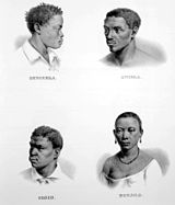 Escravos provenientes de Benguela, Luanda, Congo e Monjolo