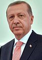 تركيارجب طيب أردوغان، رئيس