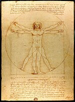 « L'homme de Vitruve », dessin de Léonard de Vinci