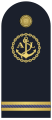 Il distintivo per controspallina delle uniformi ordinaria e di servizio estiva