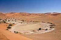 The Namib, a warm desert
