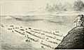 Image 47Depiction of the Donner Party heading west on the California Trail. (from History of California)